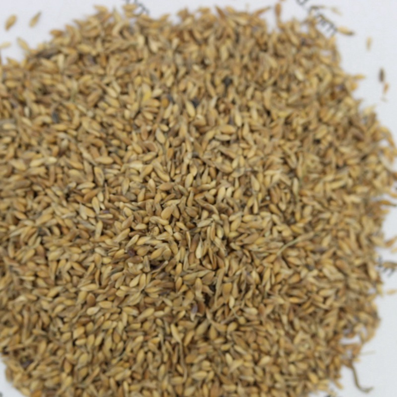 1631585687637947.jpg 8d887dbdf69dba852a4bd1523c6ff11d_1584590363711981.jpg