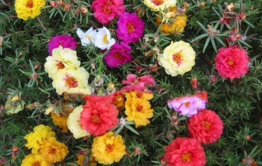 1631607462571946.jpg image.jpg