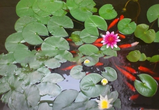 1631607830490411.jpg image.jpg