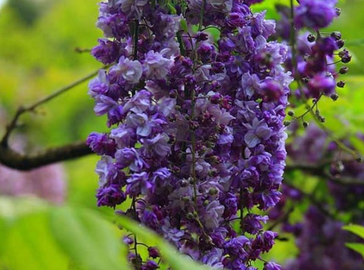 1631608110442339.jpg image.jpg