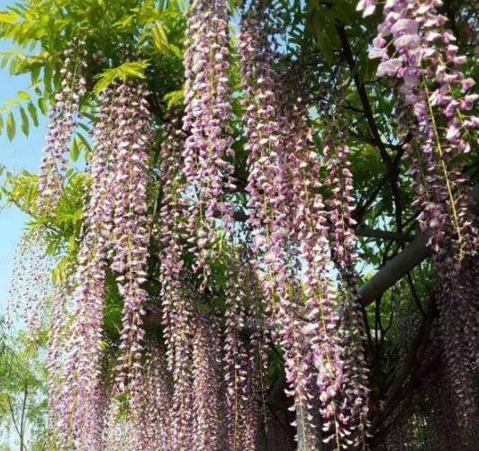 1631608133778139.jpg image.jpg