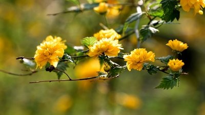 1631668899960175.jpg 1631668899960175.jpg