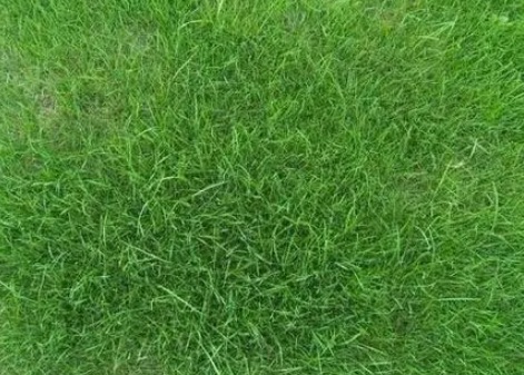 1631748941886329.jpg 1631748941886329.jpg