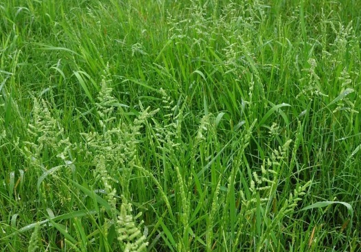 1631748951789186.jpg 1631748951789186.jpg