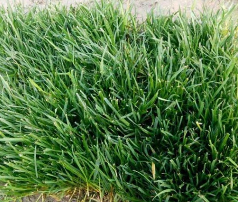 1631748959124326.jpg 1631748959124326.jpg