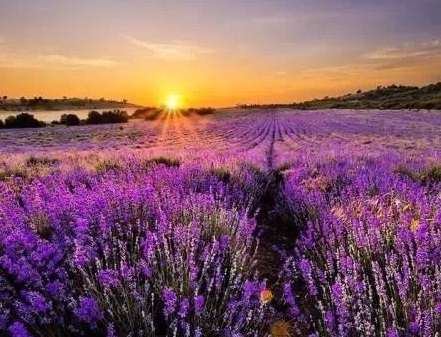 1631750038792256.jpg 1631750038792256.jpg