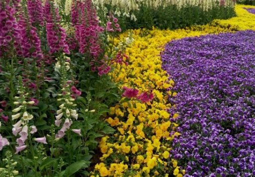 1631751249297865.jpg 1631751249297865.jpg