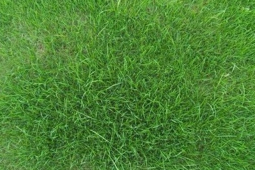 1631751350832037.jpg 1631751350832037.jpg