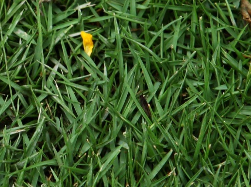 1631751816337954.jpg 1631751816337954.jpg