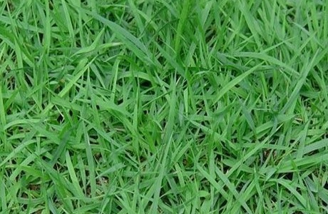 1631752375881808.jpg 1631752375881808.jpg