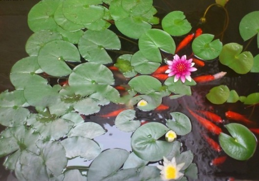 1631788291868690.jpg image.jpg