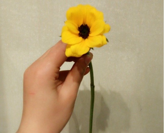 1631789361937779.jpg image.jpg