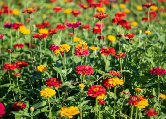 1631796151939185.jpg 1631796151939185.jpg