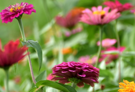 1631796168810445.jpg 1631796168810445.jpg