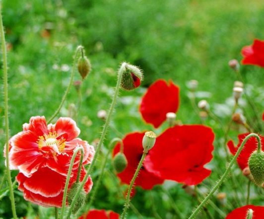 1631797236918001.jpg 1631797236918001.jpg