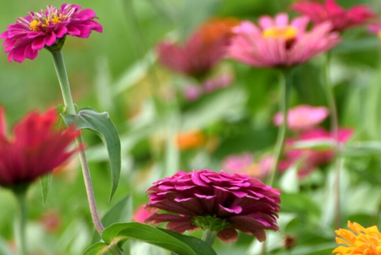 1631797325254337.jpg image.jpg