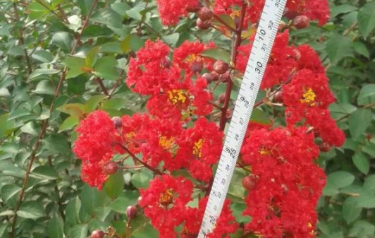 1631797534328715.jpg 1631797534328715.jpg