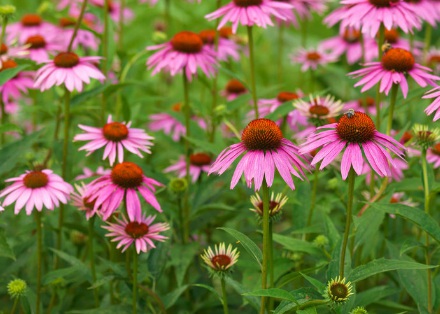 1631843209364296.jpg 1631843209364296.jpg