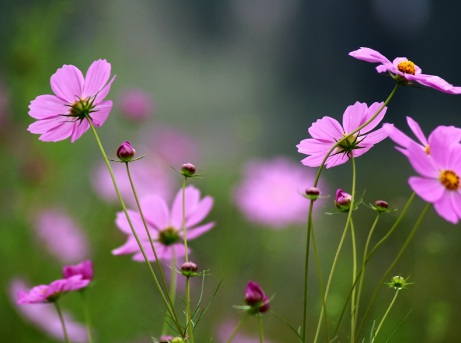 1631843545293638.jpg 1631843545293638.jpg