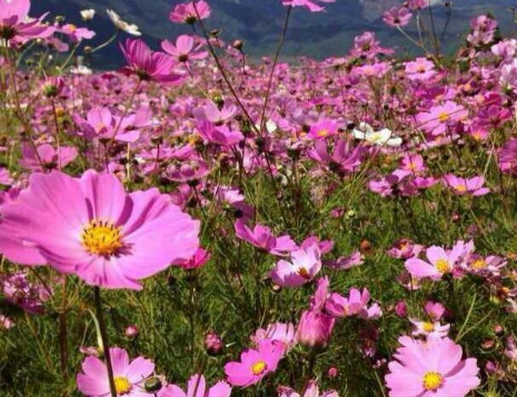 1631843569997109.jpg 1631843569997109.jpg