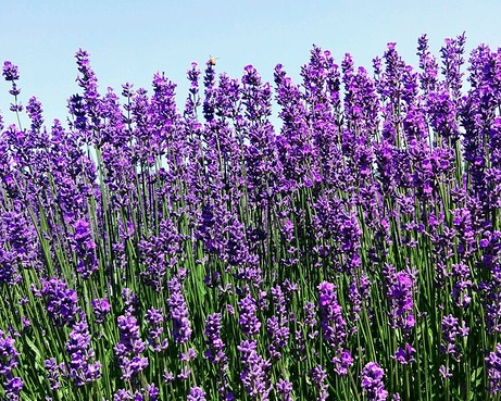 1631843823463092.jpg 1631843823463092.jpg