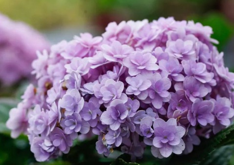 1631844992850712.jpg 1631844992850712.jpg