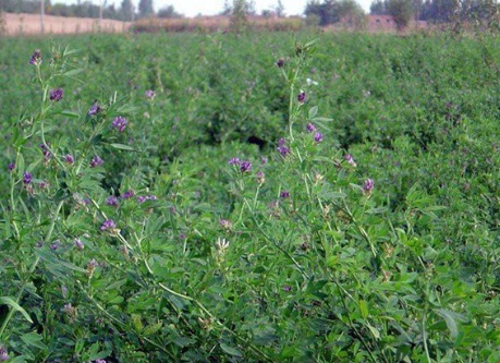 1631845084771058.jpg 1631845084771058.jpg