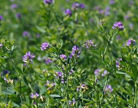 1631845095608818.jpg 1631845095608818.jpg