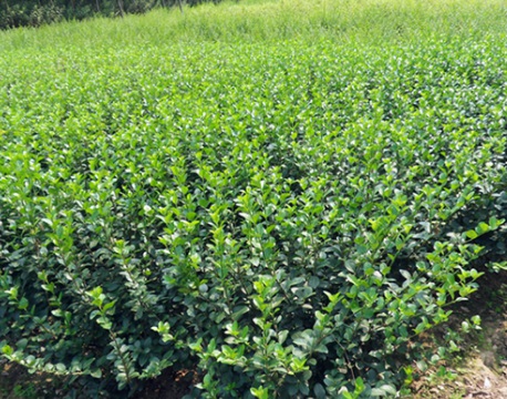 1631845721169576.jpg image.jpg