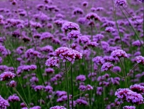 1631846617111598.jpg 1631846617111598.jpg