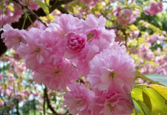 1631865551513479.jpg image.jpg