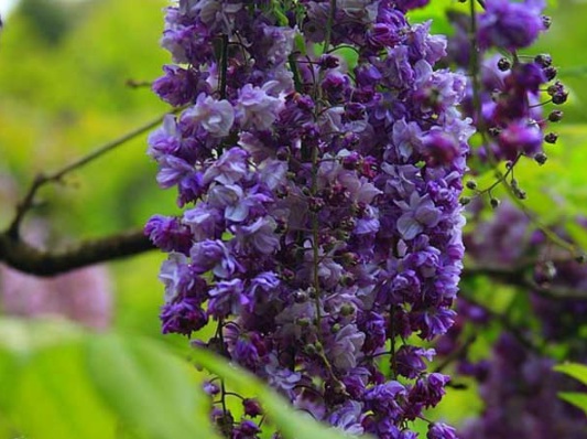 1631866858102272.jpg image.jpg