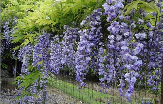 1631866868926928.jpg image.jpg