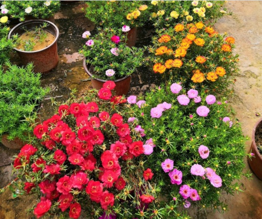 1631866953372660.jpg 1631866953372660.jpg