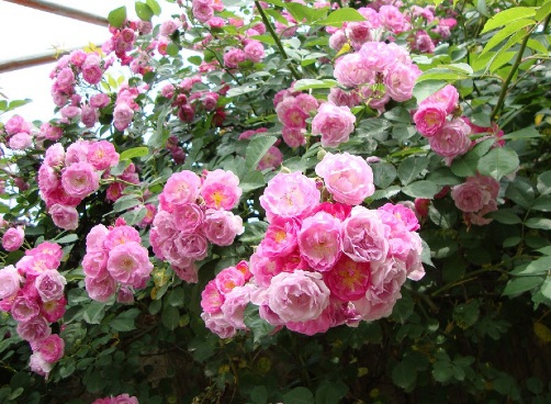 1631889089113602.jpg image.jpg