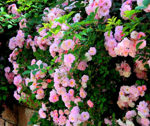 1631889120294852.jpg image.jpg