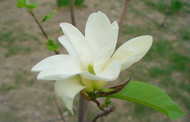 1631889785459472.jpg 1631889785459472.jpg