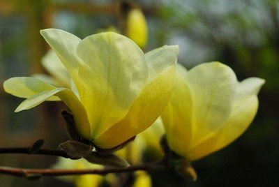 1631889910461273.jpg 1631889910461273.jpg