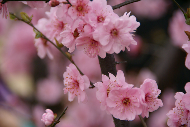 1631971077107220.jpg 1631971077107220.jpg