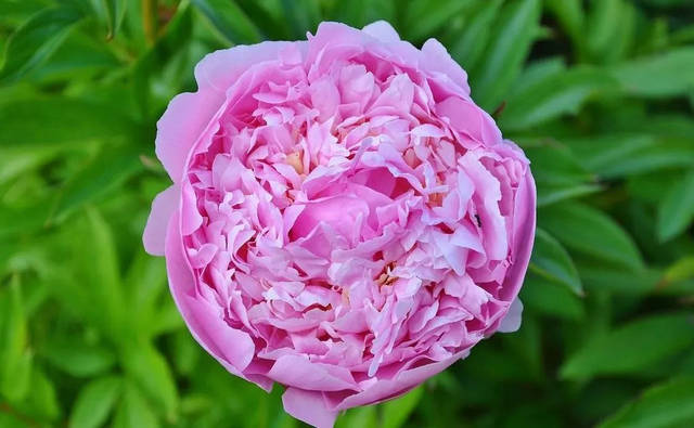 1631972362992535.jpeg 1631972362992535.jpeg