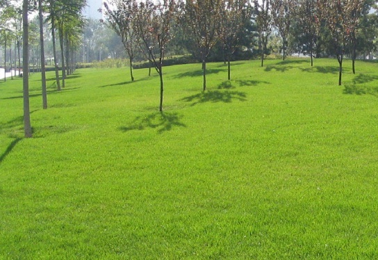 1632266534143033.jpg image.jpg