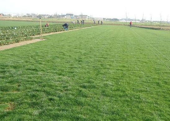 1632266560688925.jpg image.jpg