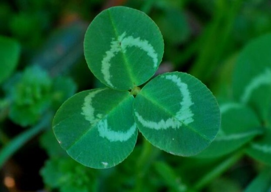 1632268445683841.jpg image.jpg