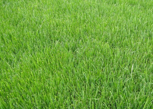 1632270746542869.jpg image.jpg