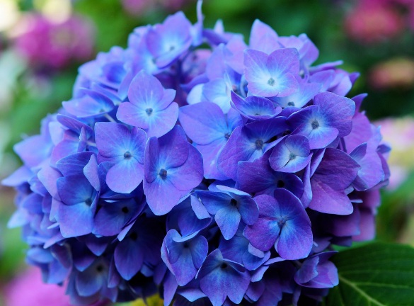 1632270972561521.jpg 1632270972561521.jpg