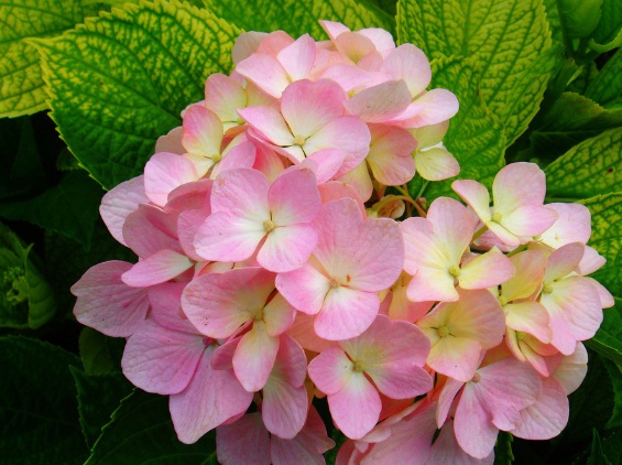 1632270983293204.jpg 1632270983293204.jpg