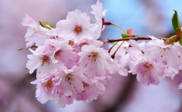 1632271712415140.jpg image.jpg