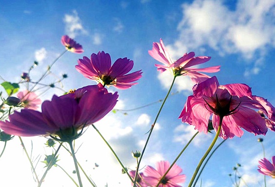 1632272955945100.jpg image.jpg