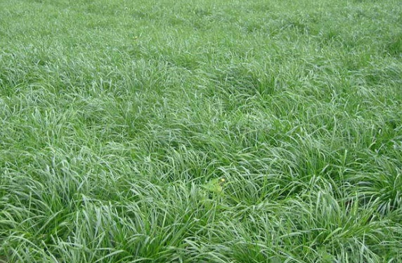 1632273130448408.jpg image.jpg