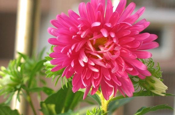 1632273829221015.jpg image.jpg